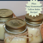 three jars of tallow balm with text box above