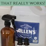 glass spray bottle next to a bottle of vinegar and essential oils, with an Our Holistic House watermark