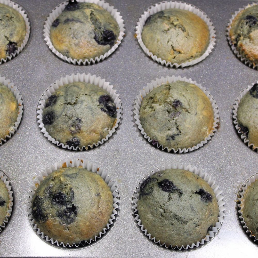 baked blueberry muffins in a muffin pan