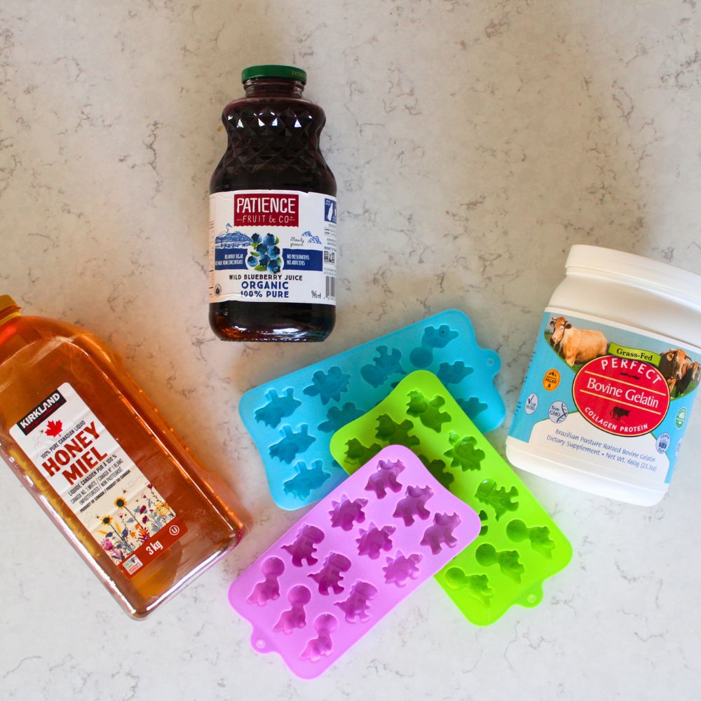 honey, blueberry juice, and gelatin powder for homemade gummies recipe laid out next to silicone molds